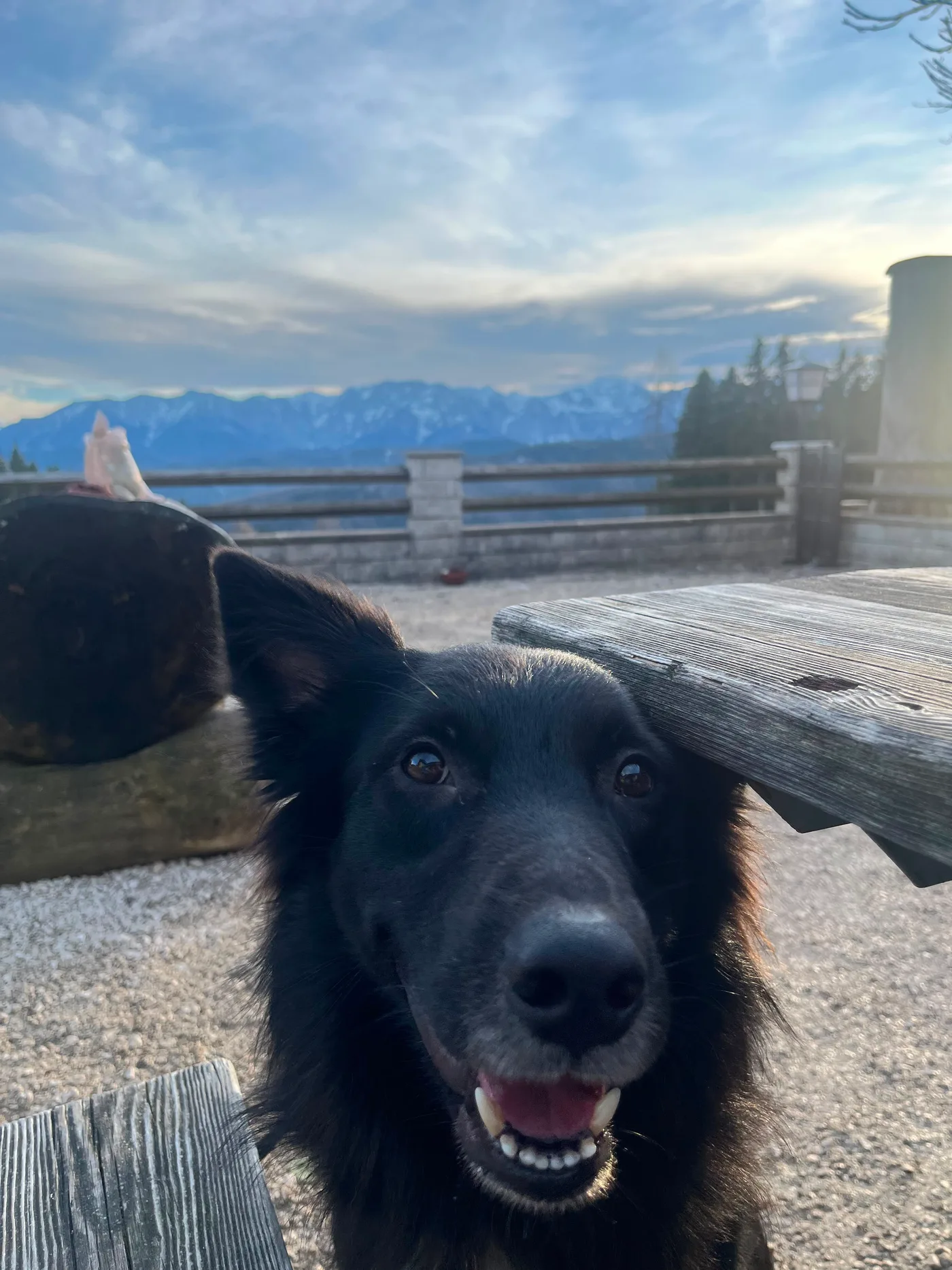 Balu vor Bergpanorama